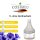 cosiMed Schnelldesinfektion - 1 l