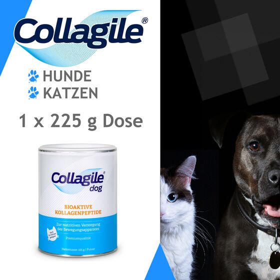 Collagile® dog - auch für Katzen geeignet 1 Dose 