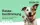 FERAGEN Rassebestimmung Hund