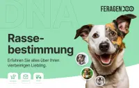 FERAGEN Rassebestimmung Hund Screening